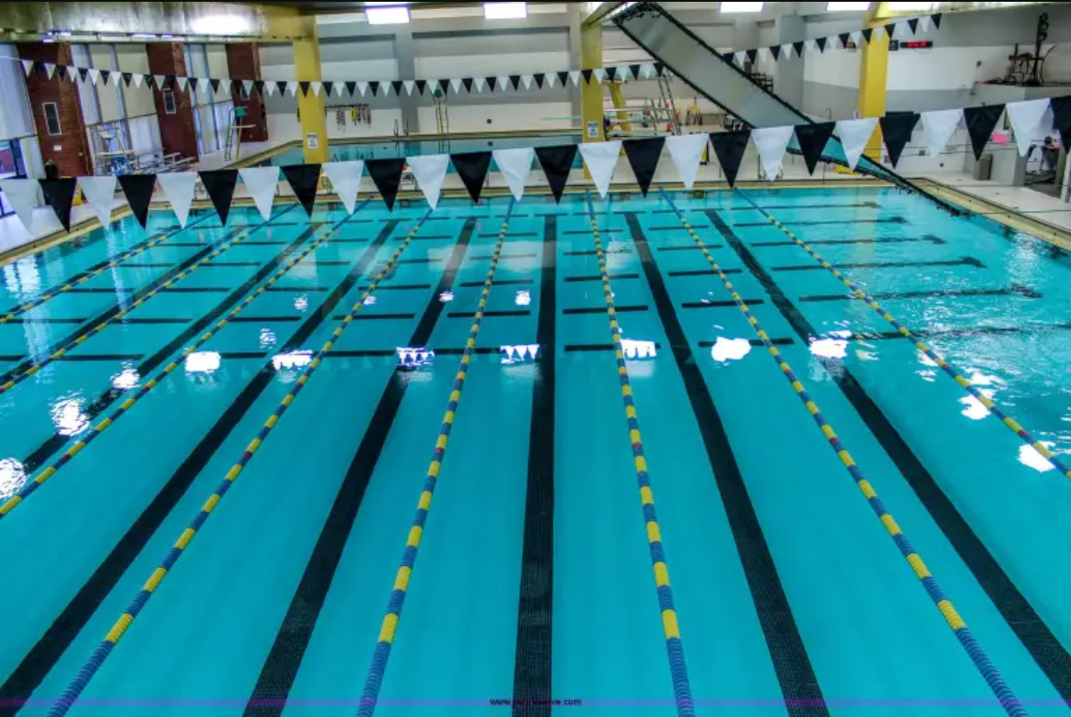 BPMN Swimlane BPMN Swimlane